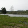 Barnov