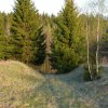 Smilov