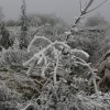 Zima 26.11.2011