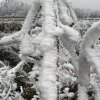 Zima 26.11.2011
