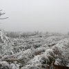 Zima 26.11.2011