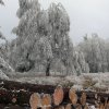 Zima 26.11.2011