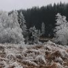 Zima 26.11.2011