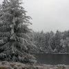 Zima 26.11.2011