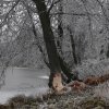 Zima 26.11.2011