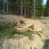 Likvidace části obce Mastník